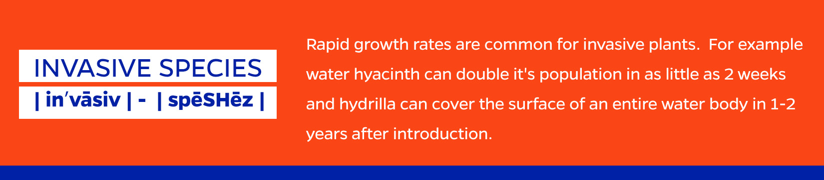 Rapid growth rates are a common characteristic of non-native plants that become invasive.  For example water hyacinth can cover the surface 